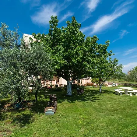 Stefa Privlaka (Zadar)