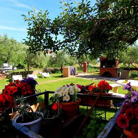 Stefa Apartment