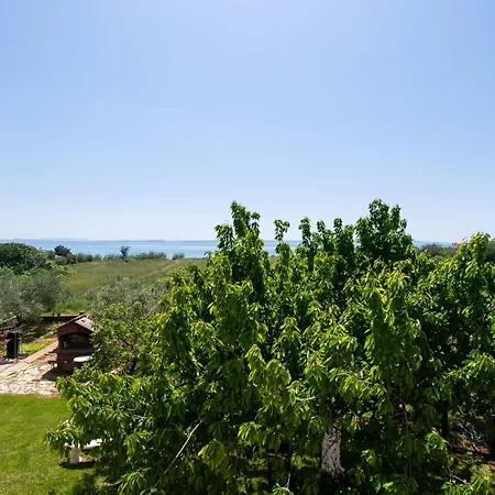 Stefa * Privlaka (Zadar)