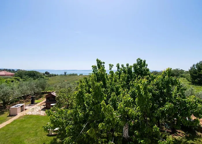 Stefa * Privlaka (Zadar)