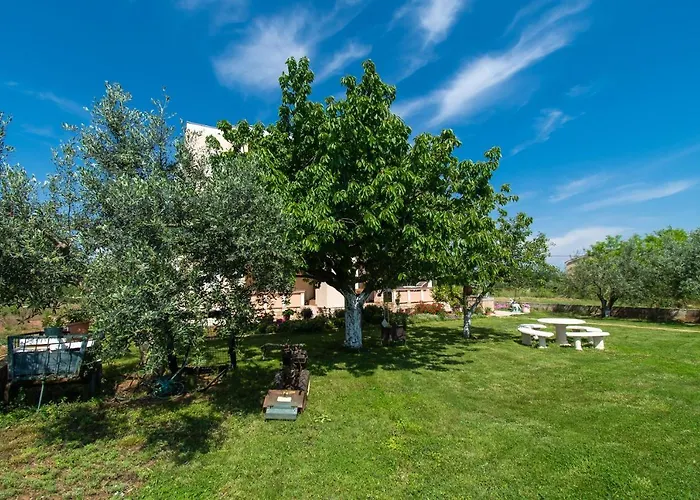 Stefa Privlaka (Zadar)